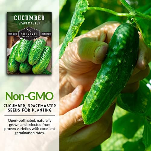 1 Pack Spacemaster Cucumber Seed for Planting - Packet with Instructions to Grow Container Friendly Cucumbers in Your Home Vegetable Garden - Non-GMO Heirloom Variety - Survival Garden Seeds