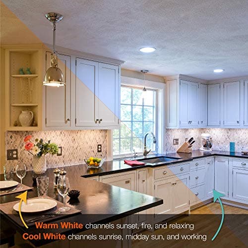 SYLVANIA LED Flood BR30 Light Bulb, 65W Equivalent Efficient 9W, 10 Year, 650 Lumens, Dimmable, 2700K, Soft White - 2 pack (73954)