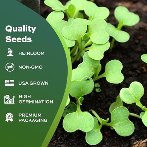 500 Cherry Belle Radish Seeds | USA Grown, Non-GMO, Heirloom | Fast-Growing, Sweet & Crisp | Harvest in 25 Days | Spring Vegetable for Gardeners of All Levels