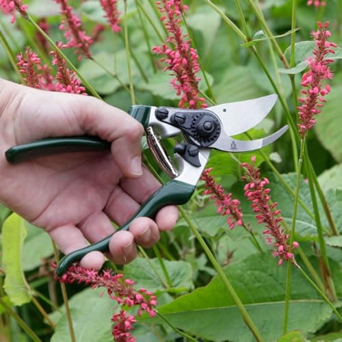 Spear & Jackson 6459KEW Kew Gardens Collection Left-Handed Bypass Pruners