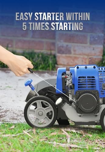 Sidewalk Edger Lawn Tool Gas 31cc WB31CCED, Blue