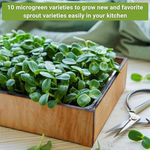 Sow Right Seeds - Microgreens Seed Sample Pack - 10 Packets of Healthy Superfoods to Sprout and Grow Indoors on Your Kitchen Counter - Broccoli, Cress, Sunflower, Arugula, Kale, Radish, Pea, and More