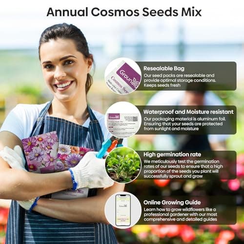 Cosmos Seeds Wildflower Mix, 1 Oz, 7 Varieties Flowers Seeds for Planting (Daydream, Gloria, Picotee, Purity, Radiance, Pinkie, Sulphur)