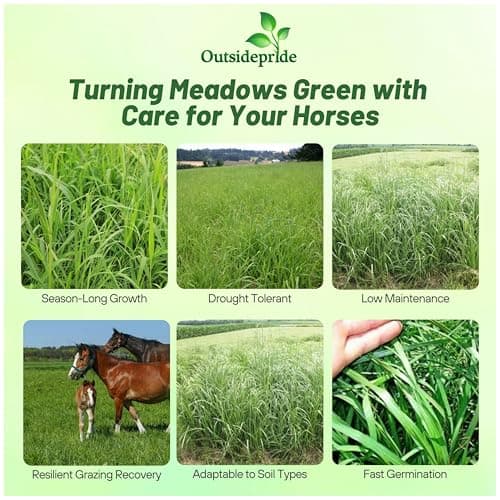 Outsidepride Horse Choice Pasture & Livestock Grass Seed Mix - 25 Lbs Perennial, Drought Tolerant, Cold Hardy, & High Yield Lawn Grass Seeds for Grazing, Hay, Silage, & Greenchop