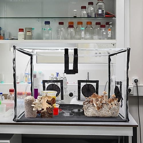 Large Still Air Box Mushroom Mycology Fume Hood Propagation StationsGrow Kit Mushroom Grow Bags Your Monotub Kit Mushroom Planting BagTent for Spores Horticulture Supplies （31.5 * 20.5 * 20.5inch）