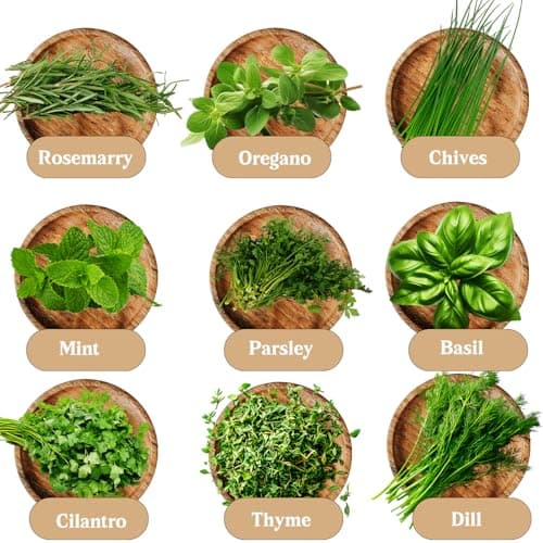 Indoor Herb Garden Kit, 9 Non-GMO Seeds with Reusable Pots, Planter – DIY Grow Kits for Growing Herbs Indoors, Kitchen, Balcony, Window Sill with 27 Soil