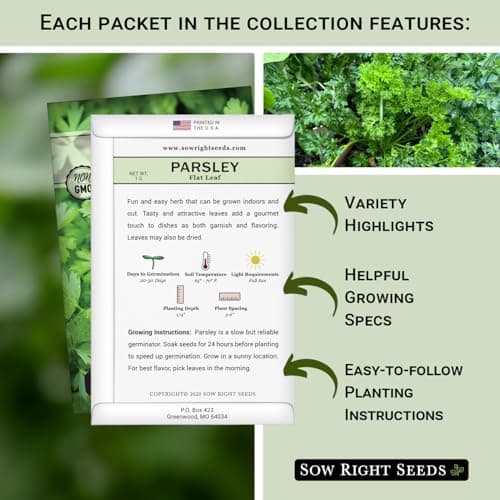 Sow Right Seeds - Flat and Curly Leaf Parsley Seed Collection for Planting - Non-GMO Heirloom Packet with Instructions to Plant and Grow a Kitchen Herb Garden - Indoors or Outdoors - Culinary Garnish