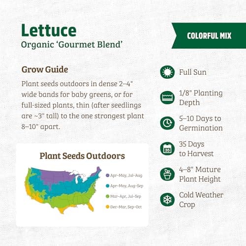 Back to the Roots - 100% Organic Seed Packet - Lettuce 'Gourmet Blend' 420mg