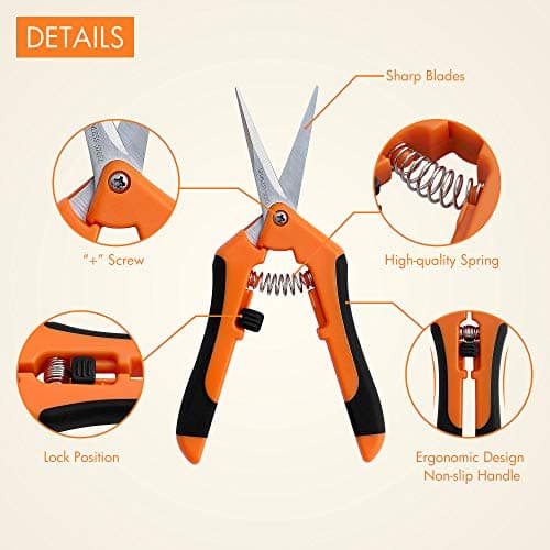 Gardzen 2-Pack 6.5'' Hand Pruner Pruning Shear, Functional Garden Scissors Cutter with Straight for Tackle Stems and Light Tree Branches