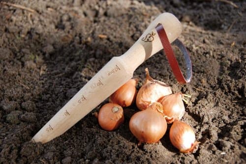 Esschert Design USA W4006 Secrets du Potager Wooden Plant Dibber