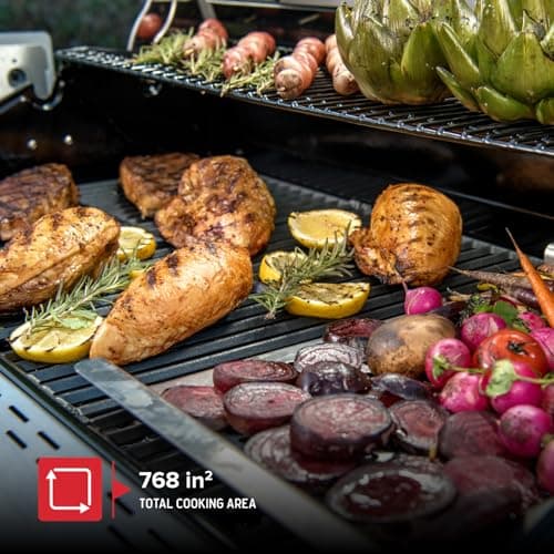 Nexgrill Deluxe 6-Burner Propane Gas Grill with Ceramic Searing Side Burner, Rotisserie Kit, 60,000 BTUs Output, and Stainless Steel Control Panel, BBQ Grill Perfect for Outdoor Gatherings - 720-0896B