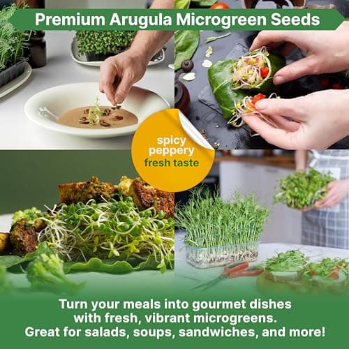 Organo Republic Arugula Sprouting & Microgreens Seeds - 55,000 Non-GMO Heirloom Seeds, Sprouts in 4 oz Resealable Bag for Planting & Growing Microgreens in Soil, Coconut Coir, Aeroponic & Hydroponic