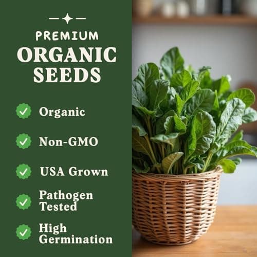 Organic Spinach Seeds for Indoor Gardening or Planting Outdoors, Non-GMO and USDA Certified Vegetable Seed Packets, 350 Seeds/4 Grams (Bloomsdale Spinach)