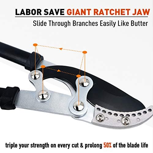 JARDINEER Garden Loppers Pruners Set, Include 30" Anvil Loppers for Tree Trimming Heavy Duty with 2" Cutting Capacity, Bypass Pruning Shear and Spare Loppers Blade