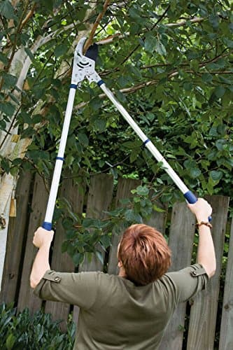 Spear & Jackson 8290RS Razorsharp Heavy Duty Telescopic Ratchet Anvil Loppers, Multicoloured