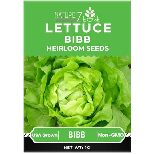 Lettuce Seeds for Planting, Red Romaine Lettuce, Bibb Butter Lettuce, Black Seeded Simpson, Green Ice Iceberg Lettuce, Non-GMO…