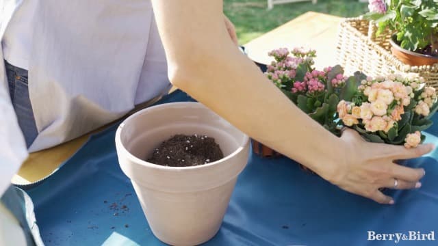 Garden Loose Soil Scoop, Stainless Steel Hand Shovel Spade with Wood Handle Multi Function Gardening Trowel Spoons for Transplanting, Digging, Planting, Cultivation