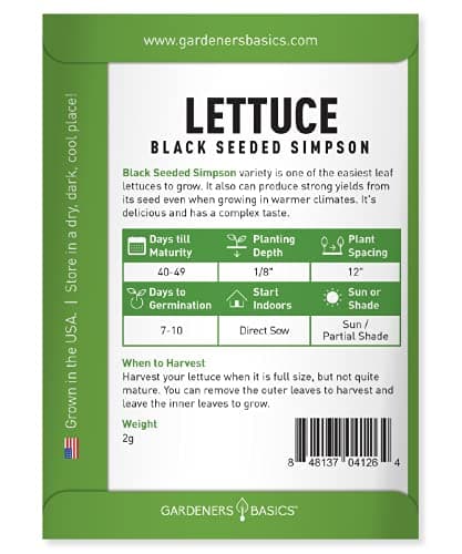 Gardeners Basics, Green Leaf Lettuce Seeds for Planting - (Black Seeded Simpson Variety) Heirloom, Non-GMO Lettuce Variety- 2 Grams Seed Great for Spring, Summer, Fall, Winter Garden and Hydroponics