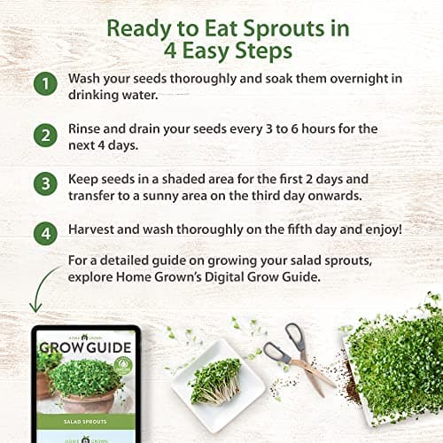 HOME GROWN Microgreens & Sprouts Salad Seeds Mix – 16oz Resealable Mylar Pack – Broccoli, Alfalfa, Radish, Clover – Heirloom 𝗡𝗢𝗡-𝗚𝗠𝗢 Seeds for Healthy Indoor Growing & Juicing