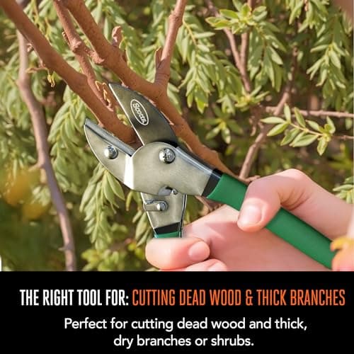 Scotts 8 in. Anvil Pruning Shears – 1/2 in. Cutting Capacity, Heavy-Duty Garden Pruner for Dry Stems and Dead Wood, Sap Resistant – Comfort Grip with Sharp Carbon Steel Blade for Yard and Garden Use
