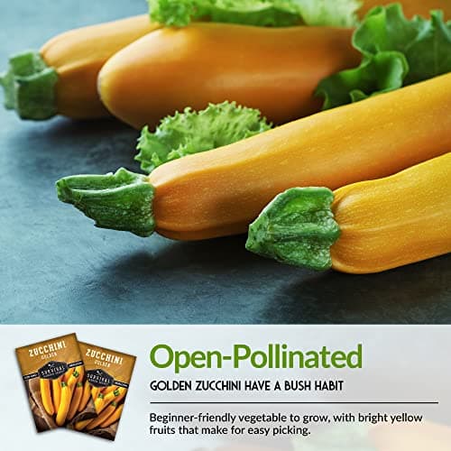 Survival Garden Seeds - Golden Zucchini Seeds for Planting - Packet with Instructions to Plant & Grow Yellow Zucchini Vegetables in Your Home Vegetable Garden - Non-GMO Heirloom Variety Plant Seed