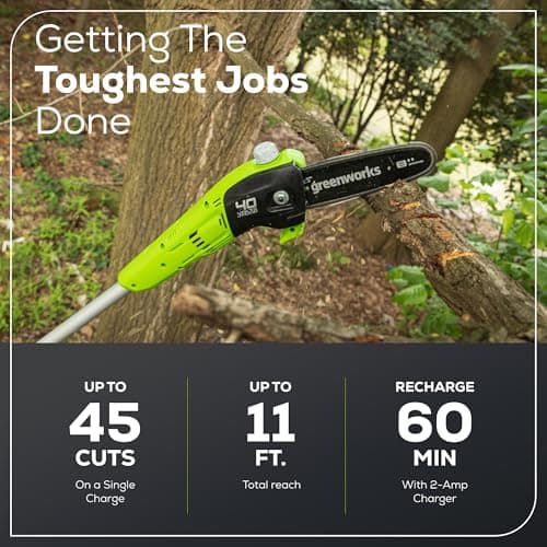Greenworks 40V 8-Inch Cordless Polesaw, 2.0Ah Battery and Charger Included PS40B210