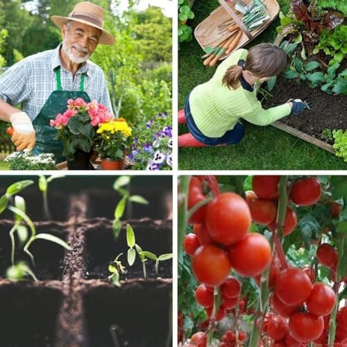 Seed Starter Kit with 100 Peat Pots for Seedlings Seed Starter Tray, 5 Plastic Growing Trays with Water Strainer & 20 Plant Labels Outdoor or Indoor Herb Garden Nursery