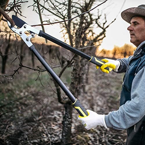 JARDINEER Garden Loppers Pruners Set, Include 30" Anvil Loppers for Tree Trimming Heavy Duty with 2" Cutting Capacity, Bypass Pruning Shear and Spare Loppers Blade
