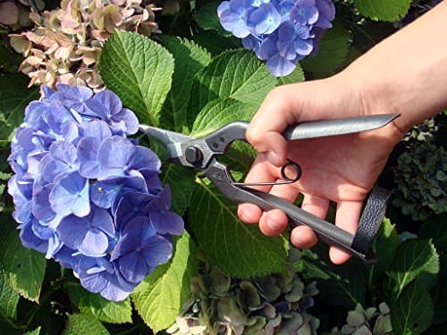 Okatsune Professional Snips, No.207 (Standard Version)