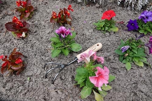 Tierra Garden DeWit 3-Tine Cultivator with Short Handle, Works as Garden Hoe and Tiller (31-0904)