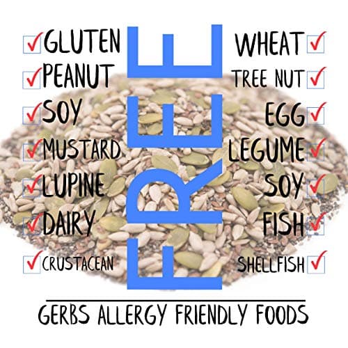 GERBS Super 5 Seed Snack Mix 1 LB. Premium Grade | Top 14 Food Allergy Free | Resealable Bulk Bag | Made in USA | Raw Pumpkin Sunflower Chia Hemp Flax Seed Trail Mix | Gluten Peanut Tree Nut Free