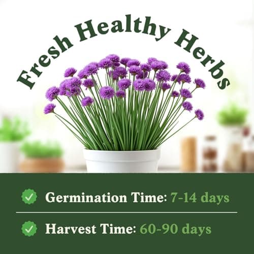 Organic Chive Seeds for Planting Indoor and Outdoor, Non-GMO and USDA Certified Herb Seed Packet for Hydroponic Garden Indoor or Planting Outdoors (Common Chives)