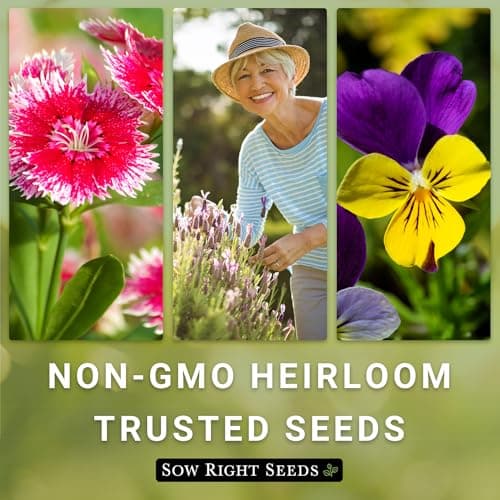 Sow Right Seeds - Large Flower Farm Seed Collection for Planting - Zinnias, Sunflowers, Daisies, Cosmos, Carnations, Stock & More - Attract Pollinators - Non-GMO Heirloom Varieties to Cut Bouquets