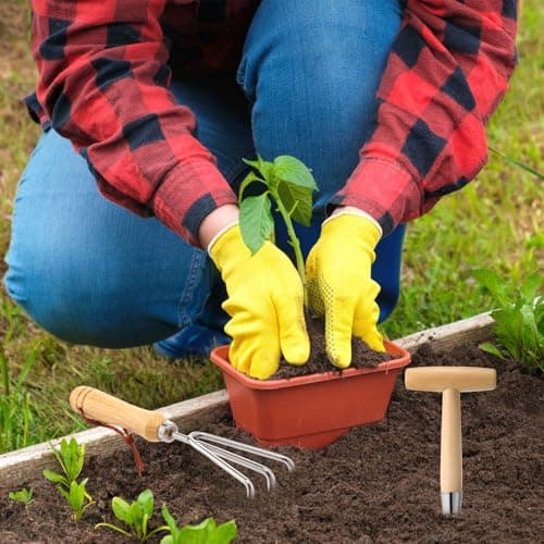 Lasnten 5 Pcs Dibber Garden Tool Set, Heavy Duty Seed Planter Gardening Tools with Hand Dibber, Hand Crack Weeder, Transplanter, Big Trowel, 3-Claw Cultivator for Planting Flowers, Gardening Gifts