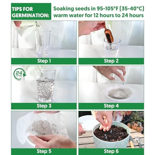 15,000+ Herb Seeds for Planting, 13 Varieties Heirloom Culinary Herb Seeds Gift Pack, Non-GMO Herb Seed Garden Kit for Indoor Outdoor Growing, Home Hydroponic Fresh Food Herb Supply
