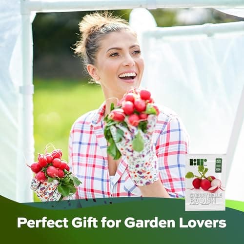 500 Cherry Belle Radish Seeds | USA Grown, Non-GMO, Heirloom | Fast-Growing, Sweet & Crisp | Harvest in 25 Days | Spring Vegetable for Gardeners of All Levels