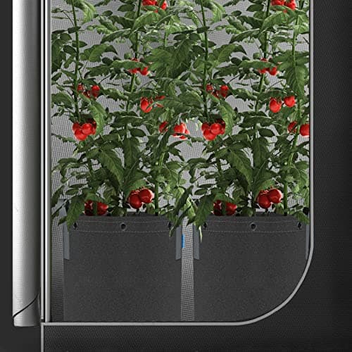AC Infinity Heavy Duty Fabric Pots, 5 Gallon Aeration Reusable Grow Bags 5-Pack with 500G Thick Nonwoven Fabric and Multi-Purpose Rings, for Low Stress Plant Training Fruits, Vegetables, and Flowers