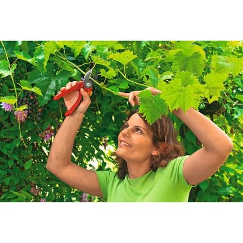 WOLF Garten Anvil Secateurs (RS2500)