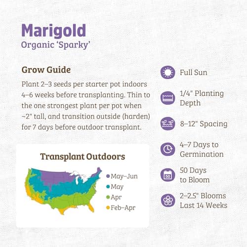 Seed Packet - Marigold 'Sparky' 420mg