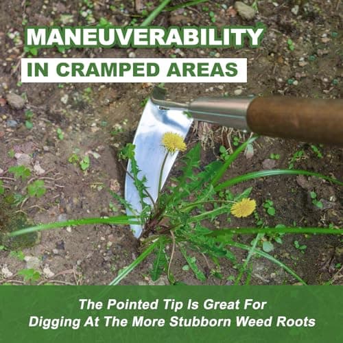 Haliaeetus Sickle Hoe, 58'' Long Handle Japanese Hand Hoe for Standing to Remove Weed, Stainless Steel Scraper Hoe, Bent Angle Weeding Sickle for Fastly Scraping Out Weed on Flower Bed, Between Plants