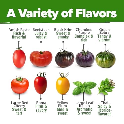 HOME GROWN Heirloom Tomato Seeds for Planting (10pk) w/Basil Seeds, 100% Non-GMO Tomatoes: Cherry, Roma, Beefsteak, Zebra, Yellow Plum, Amish Paste, Cherokee, Krim, Italian Basil, Thai Basil Seed