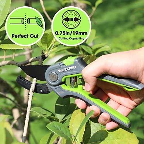WORKPRO Anvil Pruning Shears, 8’’ Professional Gardening Hand Pruner with SK5 Steel Sharp Blades, Ideal Gardening Tool for Cutting and Trimming, Green