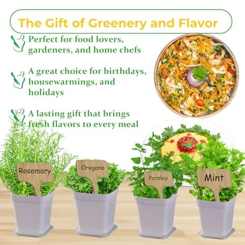 Indoor Herb Garden Kit, 9 Non-GMO Seeds with Reusable Pots, Planter – DIY Grow Kits for Growing Herbs Indoors, Kitchen, Balcony, Window Sill with 27 Soil