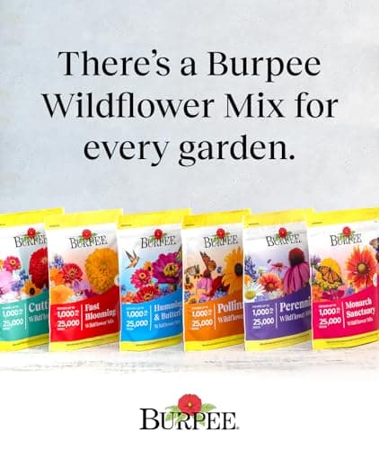 Burpee Wildflower 25,000 Bulk, 1 Bag 18 Varieties of Non-GMO Flower Seeds for Hummingbirds and Butterflies