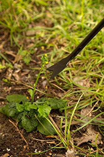 AMES 2942100 Forged Dandelion Weeder with Hardwood Handle & Corona GT3040 Extendable Handle Weeder, Red