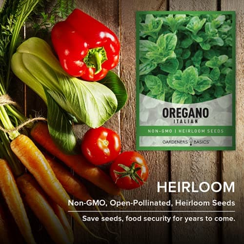 Gardeners Basics, Oregano Seeds for Planting Heirloom Non-GMO Herb Plant Seeds for Home Herb Garden Makes a Great Gift for Gardening