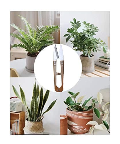 3 Pack 4.1Inch Bonsai Pruning Scissors, Bud And Leaves Trimmer Yarn Thread Cutter Snips Trimming Supplies, Garden Plants, Gardening Clippers Flower, Stainless Steel Pruners Trimmers