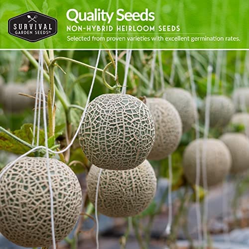 Survival Garden Seeds Melon Collection - 6 Packs of Heirloom Melon Fruit Seed: Honey Rock Cantaloupe, Hale's Best, Honeydew Melons, Yellow Petite, Tendersweet Orange, Georgia Rattlesnake Watermelon