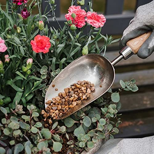 Stainless Steel Hand Potting Scoop, Compact Garden Scoop for Compost and Soil, Classic All Year Round Garden Tools Made from Stainless Steel and Ash Wood