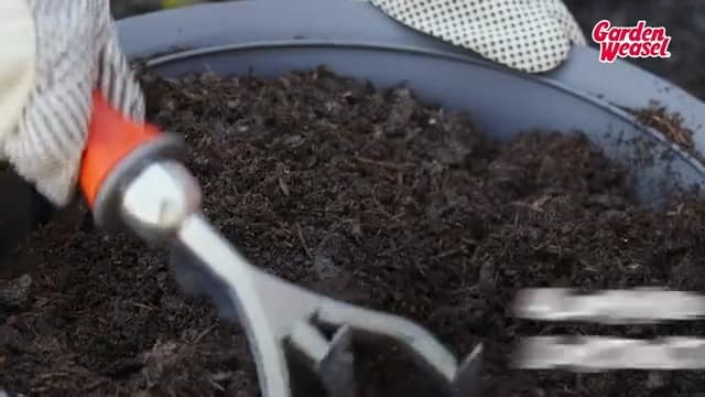Garden Weasel Double-Sided Garden Cultivator/Tiller | Cultivate, Till, Break Up Soil | Planting and Gardening Hand Digging Tool, Heavy Duty Cultivator, Hand Tool Weeder | 91367